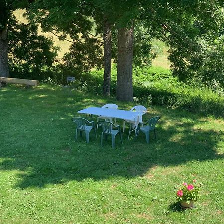Ferme Au Calme A 15Mn Du Chambon Sur Lignon Villa Saint-Jeures Bagian luar foto